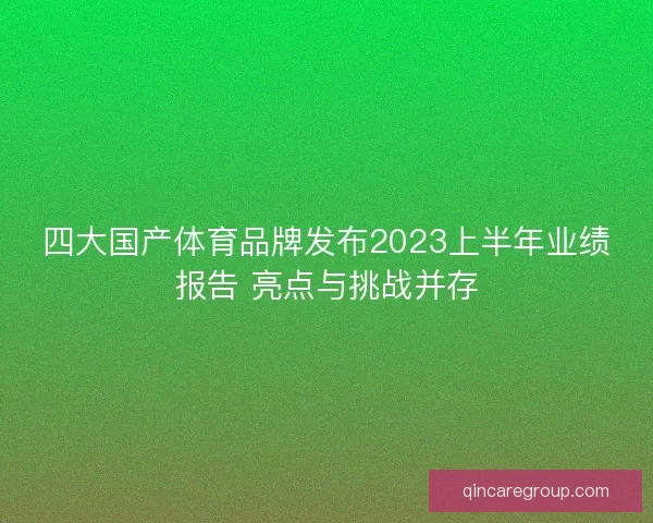 四大国产体育品牌发布2023上半年业绩报告 亮点与挑战并存